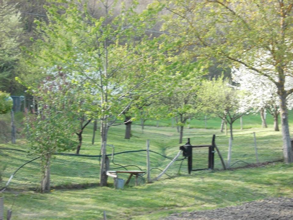 San Martino  Casa Molinari 빌라 외부 사진